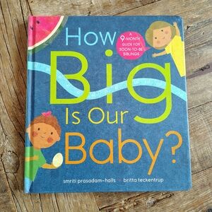How Big Is Our Baby? Kane Miller Sibling Pregnancy Book Usborne